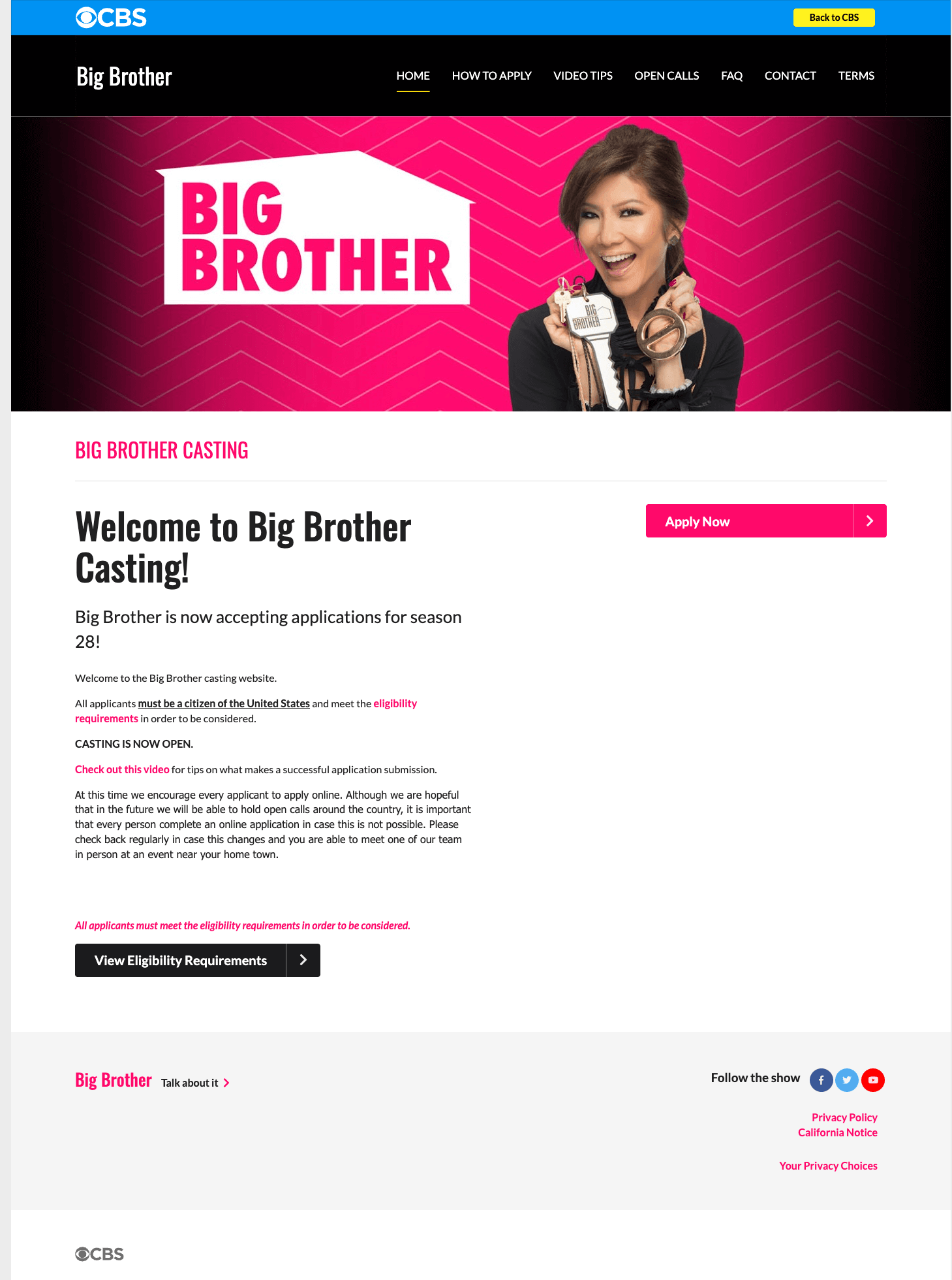 Big Brother casting site — the shipped design